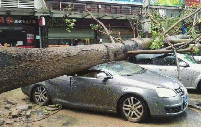 自然災(zāi)害導致汽車受損怎么辦