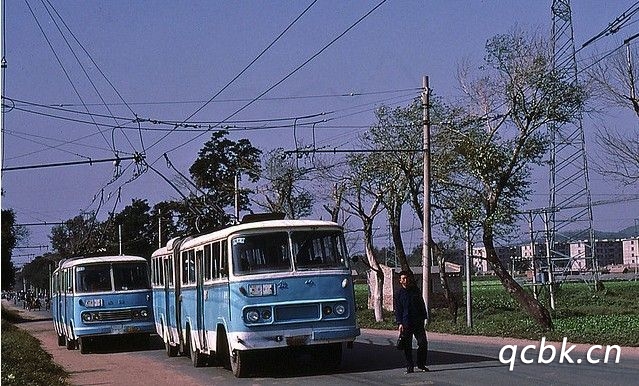 n照可以開(kāi)什么車(chē)型