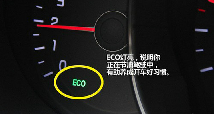 車上顯示eco綠燈是什么意思