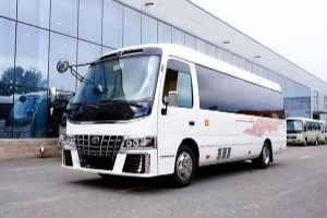 豐田考斯特9座商務(wù)車多少錢，市場報(bào)價(jià)90萬起（裸車最高優(yōu)惠12萬）