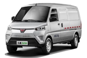 五菱ev50電動(dòng)車售價(jià)多少錢 2022款五菱ev50售價(jià)13萬(落地13萬)