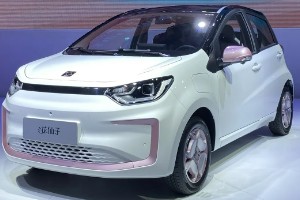 花仙子電動汽車價(jià)格圖片 2023款花仙子售價(jià)6萬(落地價(jià)7萬)