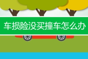 車(chē)損險(xiǎn)包括哪些險(xiǎn)種 全車(chē)盜搶/涉水/自然/玻璃單獨(dú)破碎等險(xiǎn)種