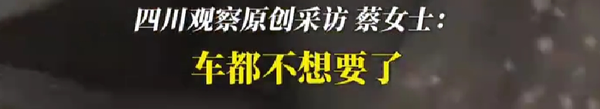 保時捷發(fā)霉車主自嘲不想要了：車內(nèi)遍布霉斑 方向盤都長毛