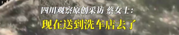 保時捷發(fā)霉車主自嘲不想要了：車內(nèi)遍布霉斑 方向盤都長毛